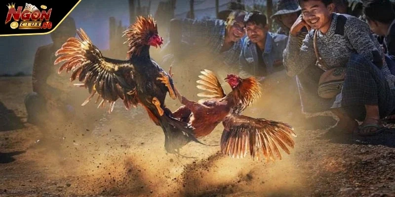 Đặc điểm nổi bật của bộ môn yêu thích này